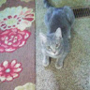 Meet your Posher, Walker